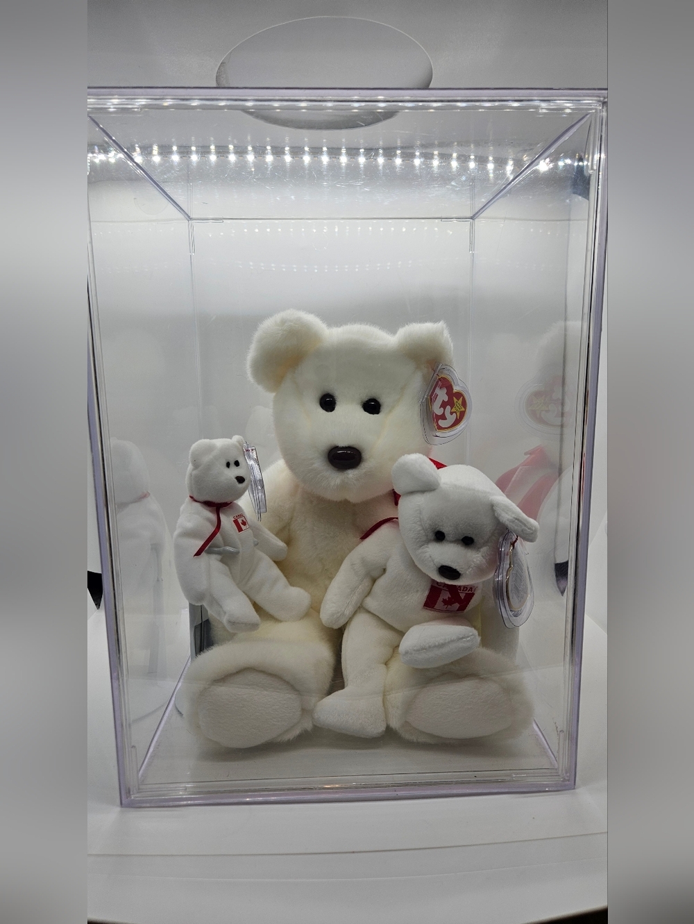 Beanie Baby TY  - Set Of 3 Canadian Bear (Acrylic Case Included)